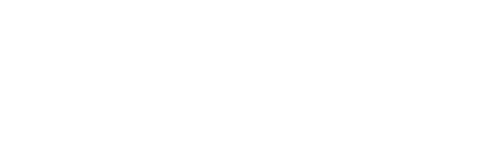 alin vzw logo doorzichtig